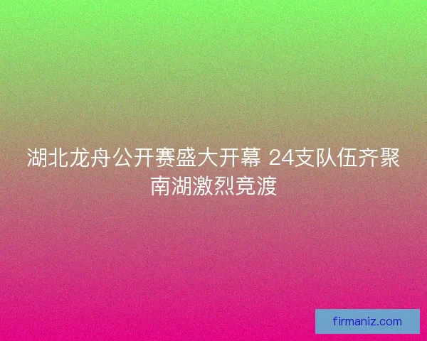 湖北龙舟公开赛盛大开幕 24支队伍齐聚南湖激烈竞渡